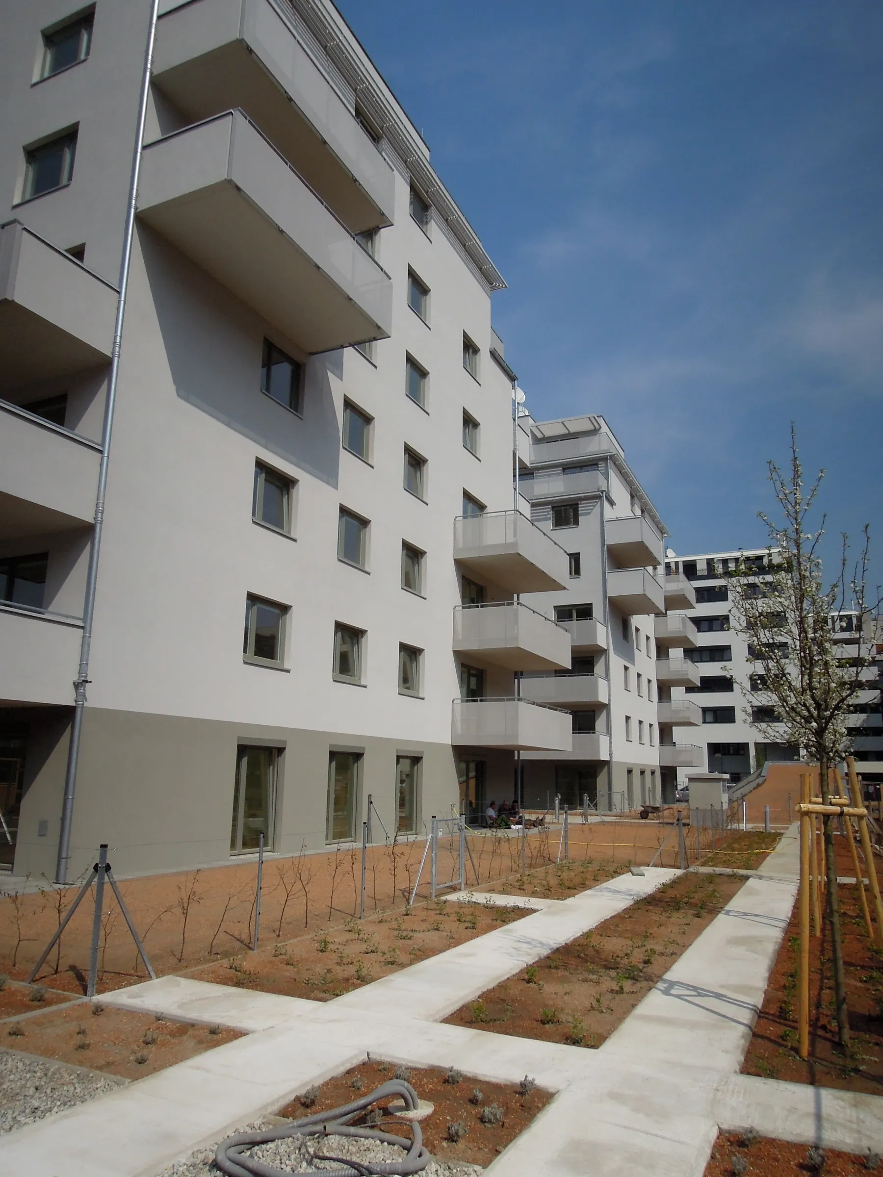 New Park Housing – Bild 7