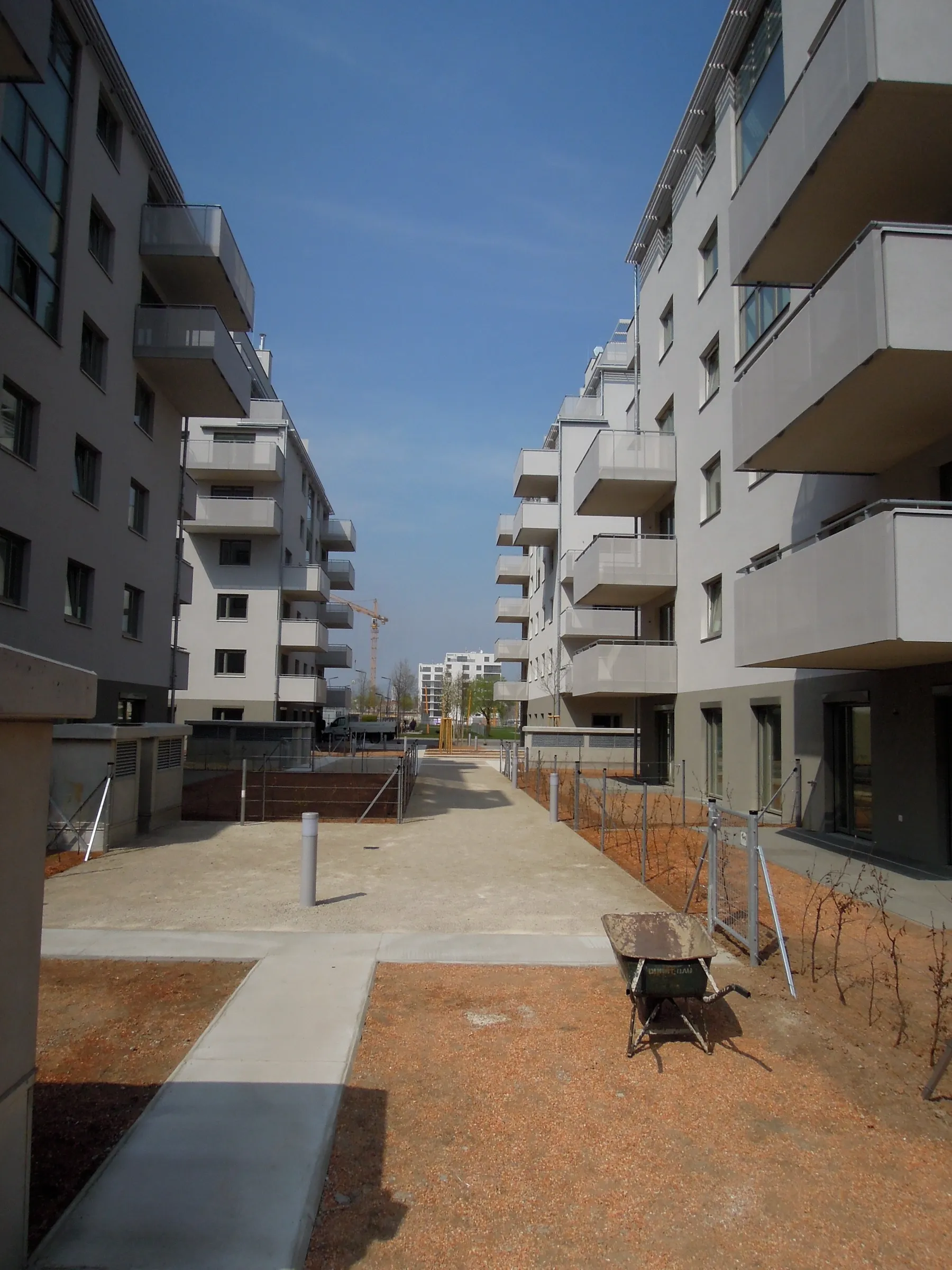 New Park Housing – Bild 8