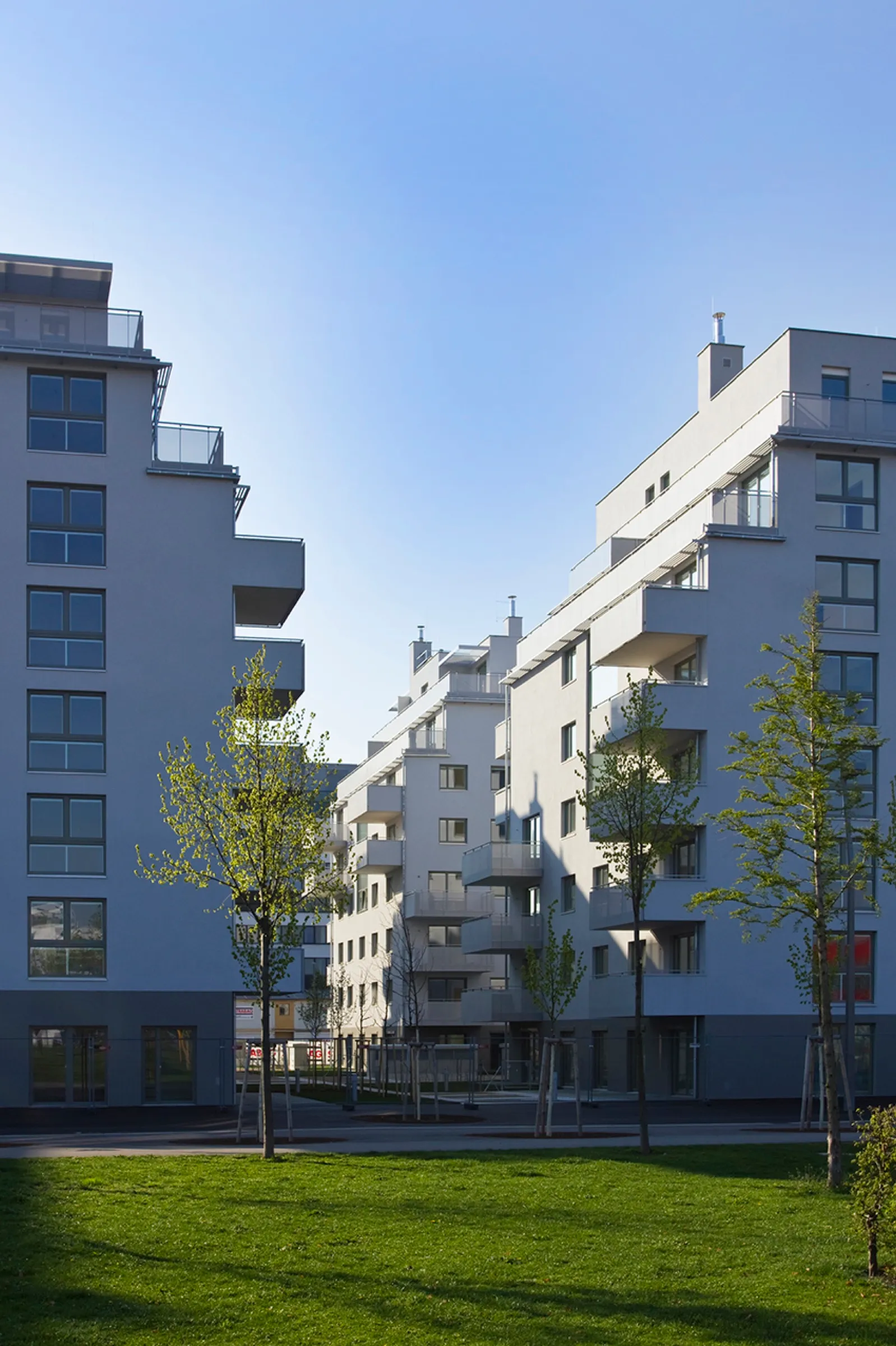 New Park Housing – Bild 11